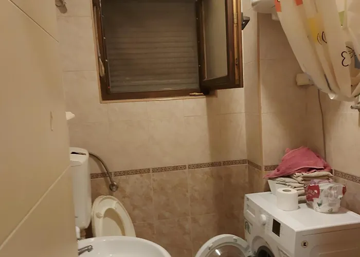 아파트 Hello Africa 노비사드